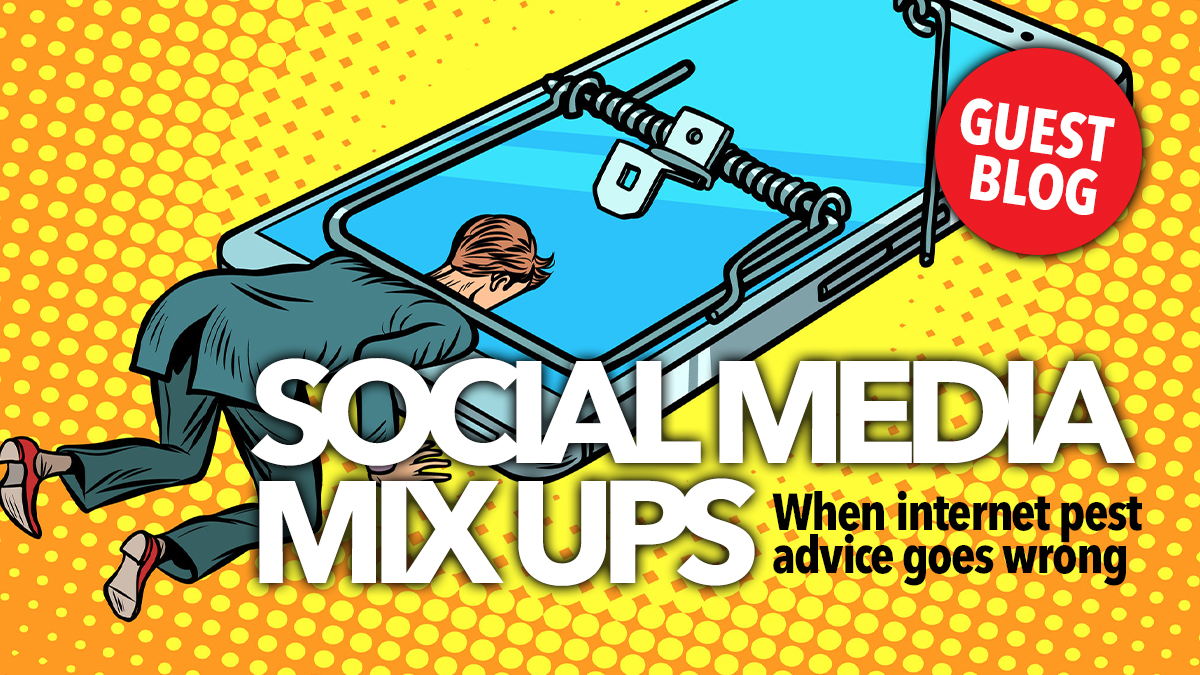 493 social media mixups 493 social media mixups